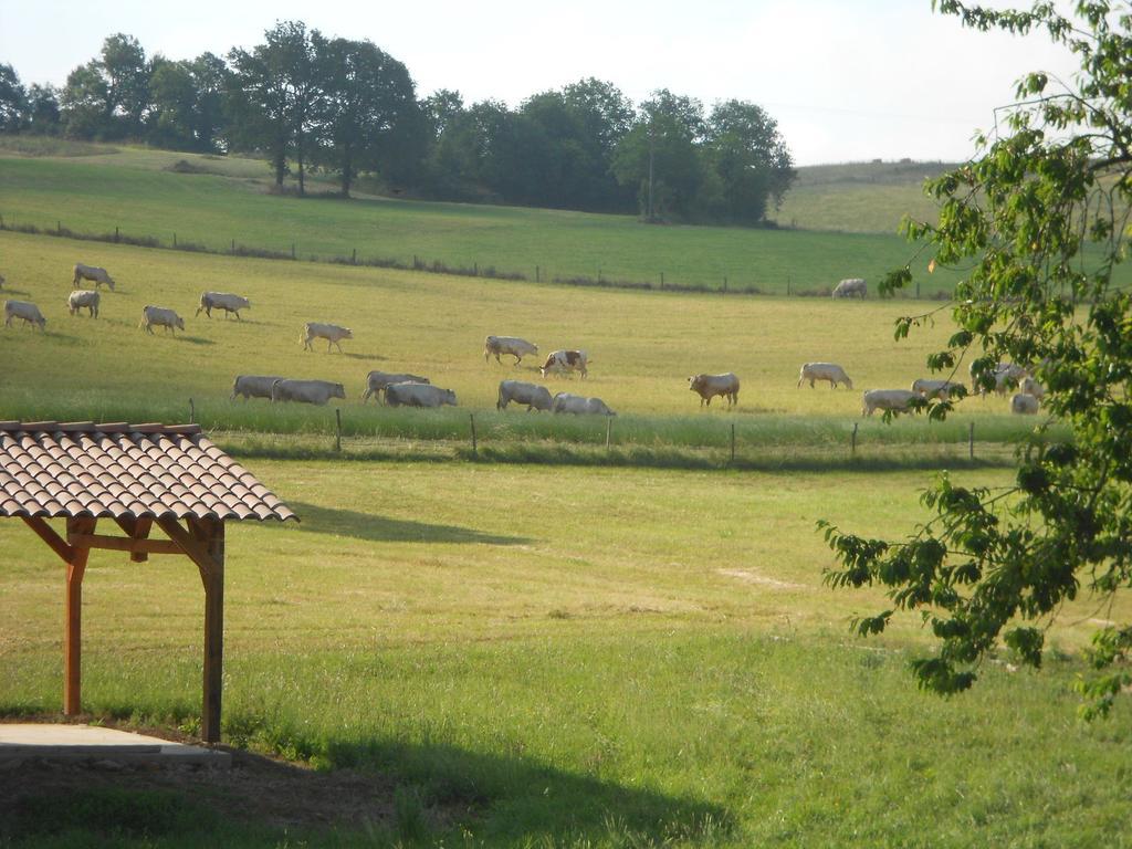 La Prade Basse 82 Bed & Breakfast Saint-Antonin-Noble-Val Room photo